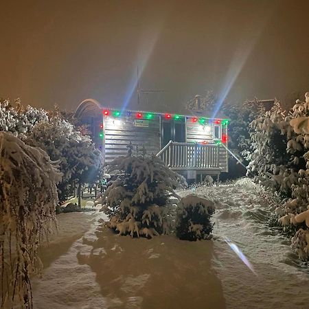 The Little John Petite Cosy Log Cabin - Sleeps 2, Great For Romantic Breaks, Couples, Single Guests, Near Sherwood Forest At Fairview Farm, Nottingham Set In 88 Acres Blidworth Екстер'єр фото